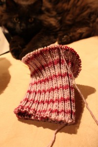 Clara's Ribbed Hat