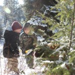 Christmas Tree Hunting