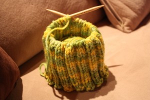 Knitting Progress